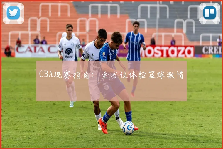 CBA观赛指南：全方位体验篮球激情